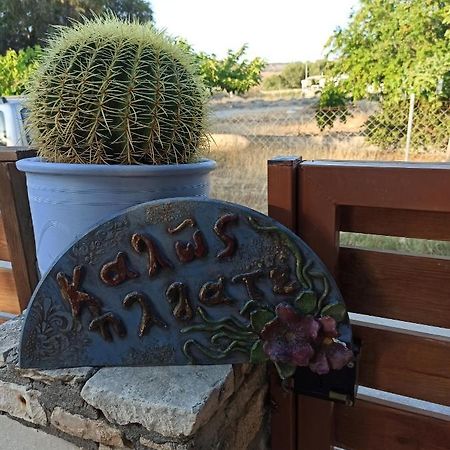 Cactus Home Kalamaki  Exterior foto