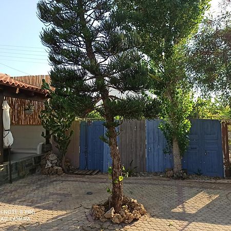 Cactus Home Kalamaki  Exterior foto