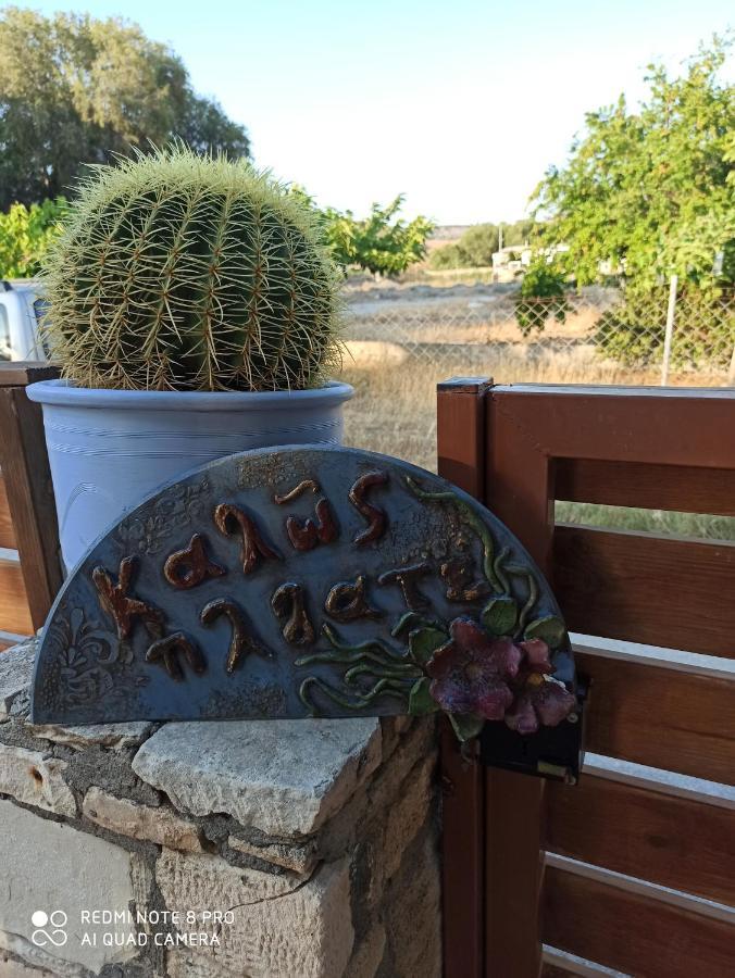 Cactus Home Kalamaki  Exterior foto