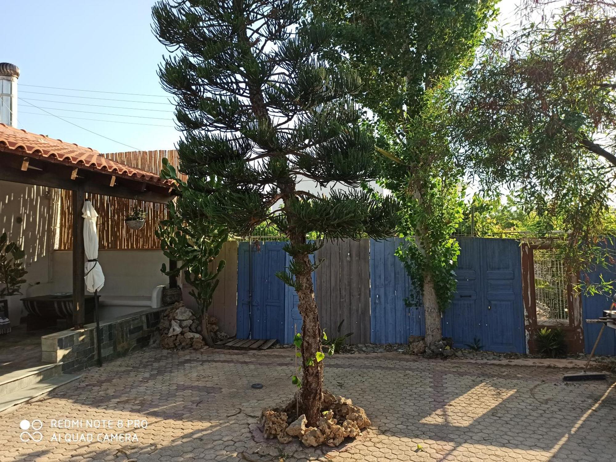 Cactus Home Kalamaki  Exterior foto