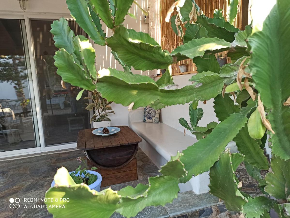 Cactus Home Kalamaki  Exterior foto